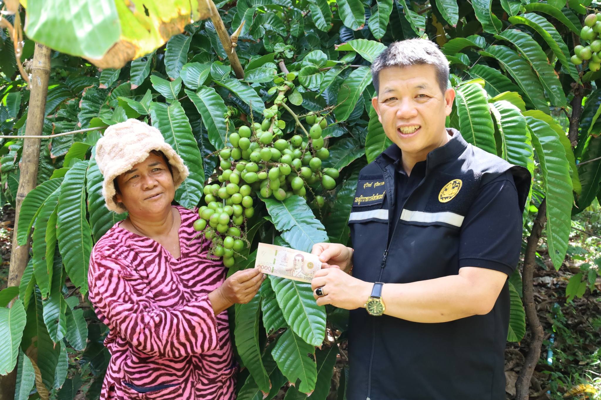 รองผู้ว่าฯ กระบี่ เยี่ยมชมแปลงเกษตรฯ ต้นแบบ ประเดิมจอง "ลำไยคริสตัล" ซิกเนเจอร์ "สวนแม่เสือสาว"